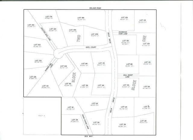 Residential for Sale at Lot 4A SNOW GOOSE LANE Fairbanks, Alaska 99709 United States