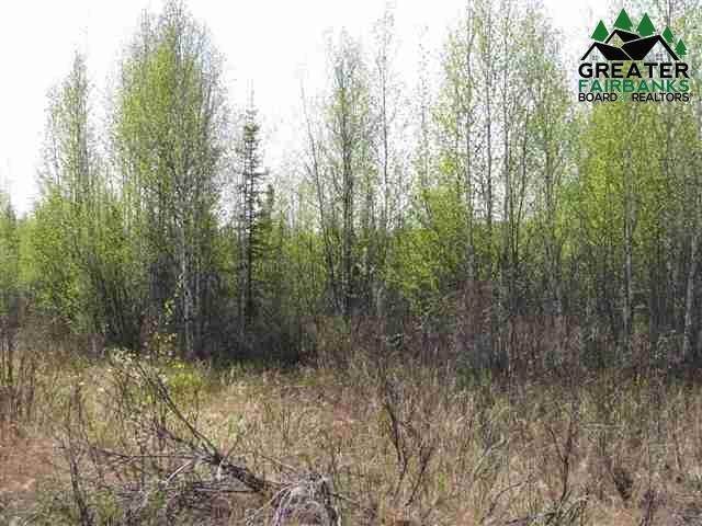 6. Residential for Sale at Lot 4A SNOW GOOSE LANE Fairbanks, Alaska 99709 United States