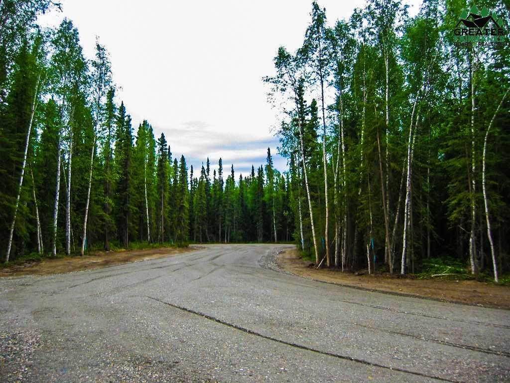 5. Residential for Sale at 787 CLEAR WATER COURT North Pole, Alaska 99705 United States
