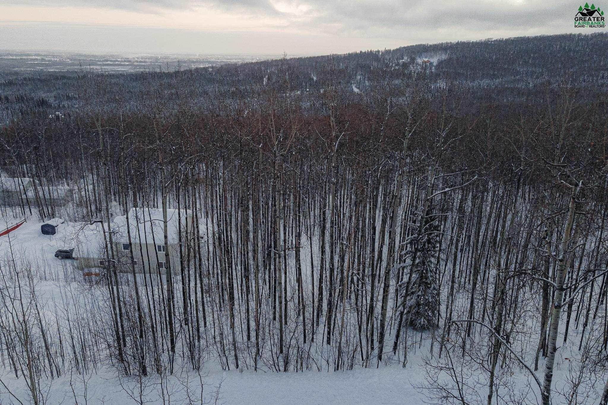 2. Residential for Sale at NHN WIDEVIEW ROAD Fairbanks, Alaska 99709 United States
