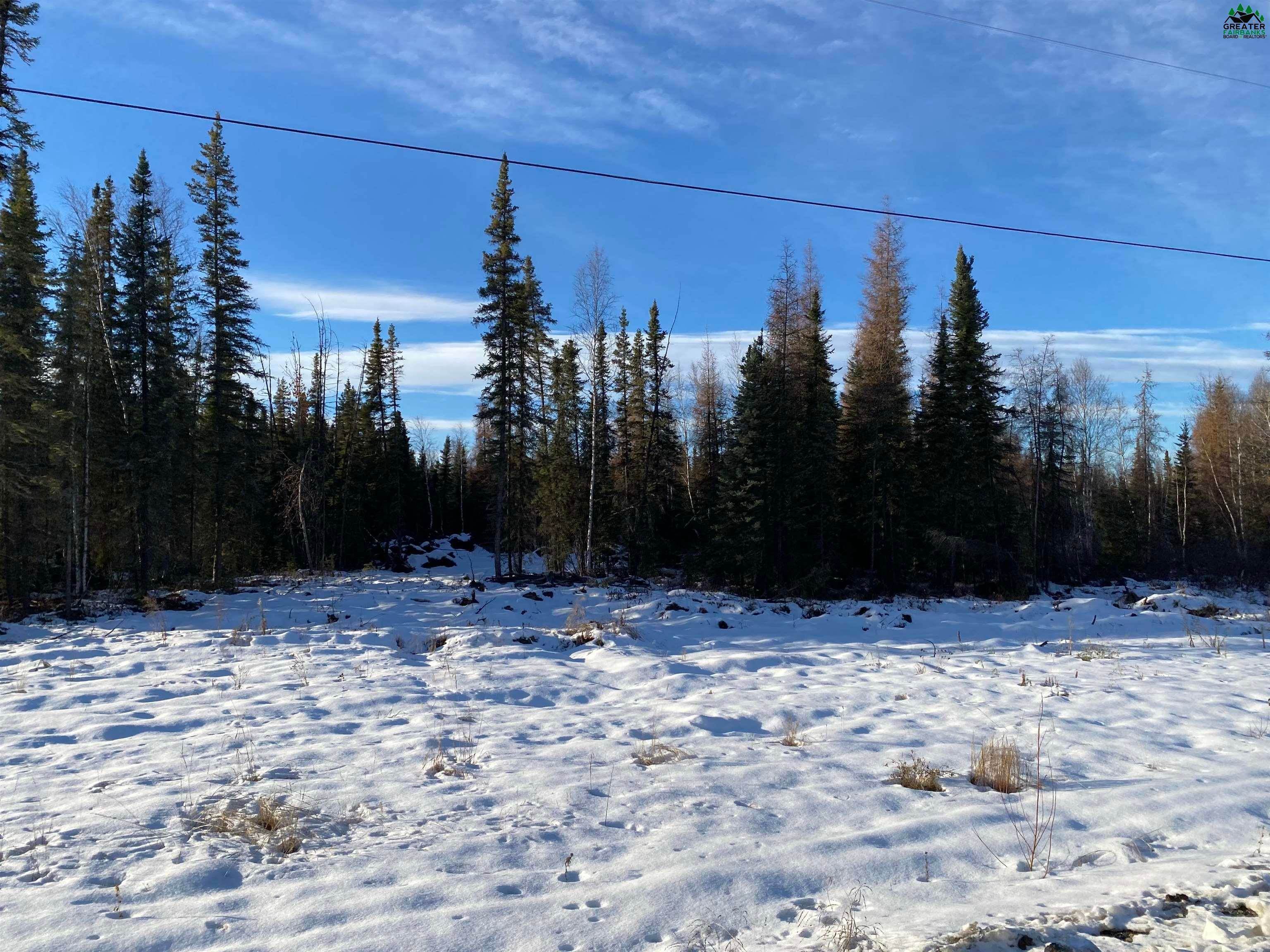 5. Residential for Sale at L14 DALLAS DRIVE North Pole, Alaska 99705 United States