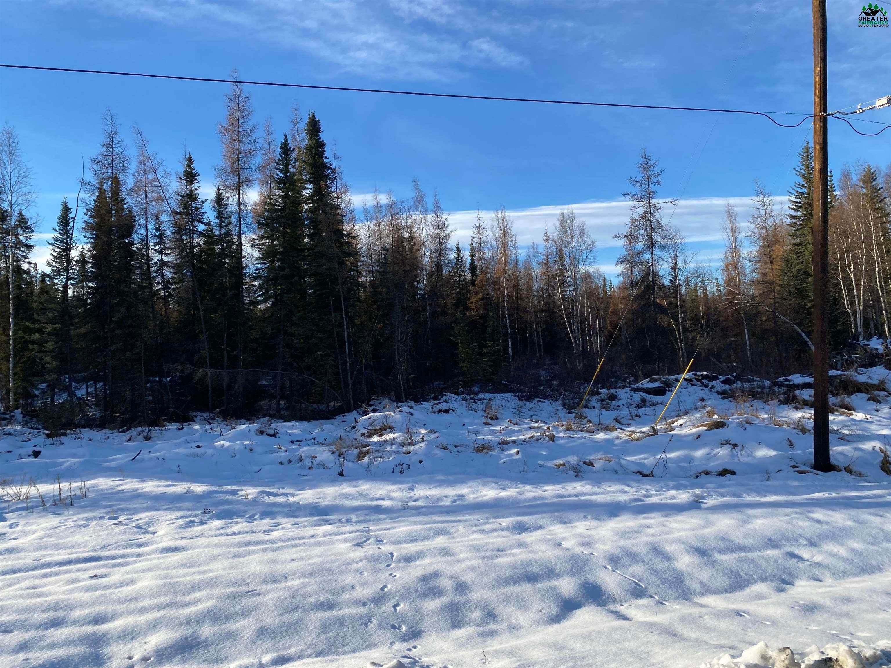 3. Residential for Sale at L22 DALLAS DRIVE North Pole, Alaska 99705 United States