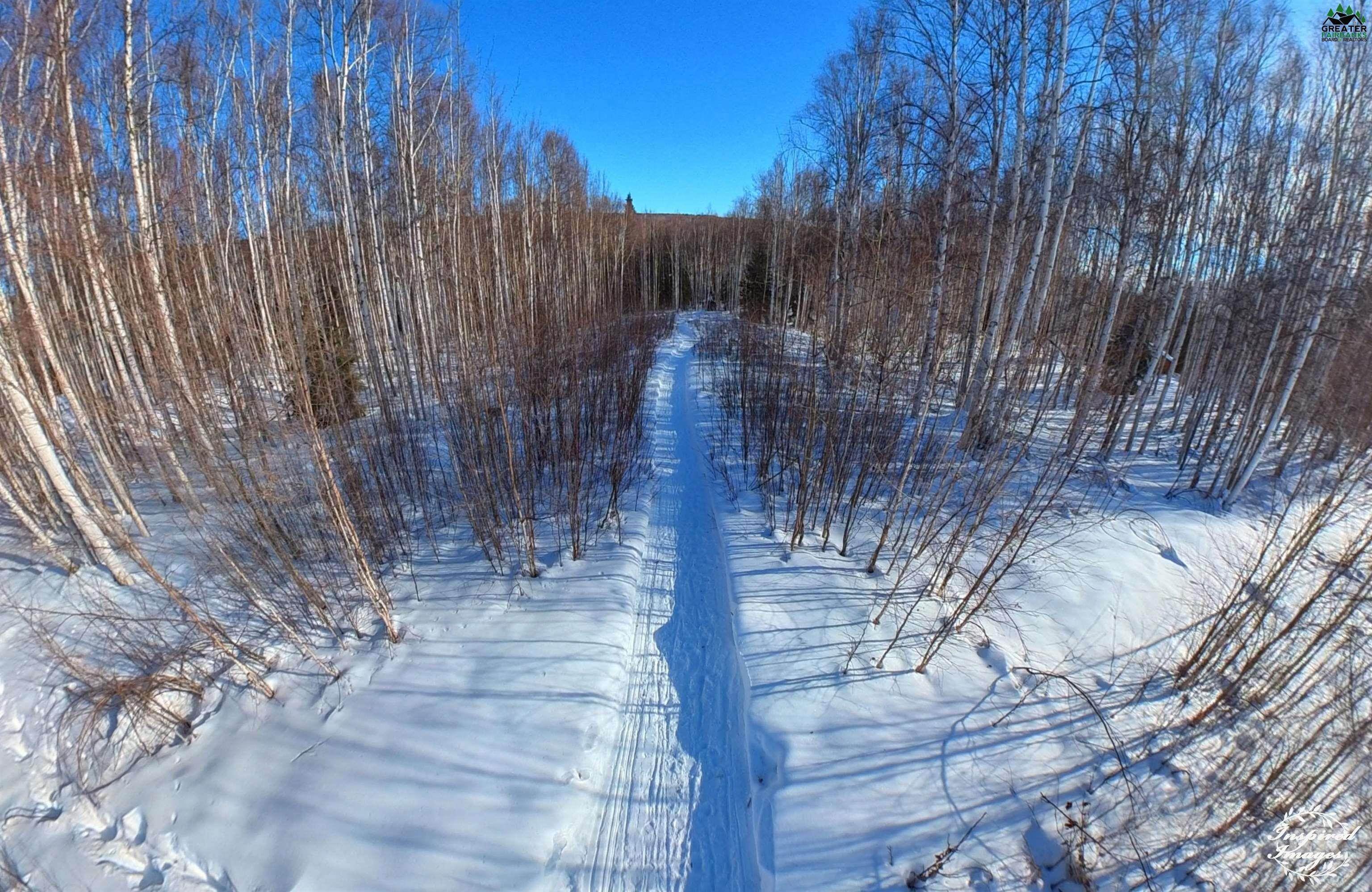 2. Land for Sale at Tract-C BIRCH KNOLL ROAD Fairbanks, Alaska 99712 United States