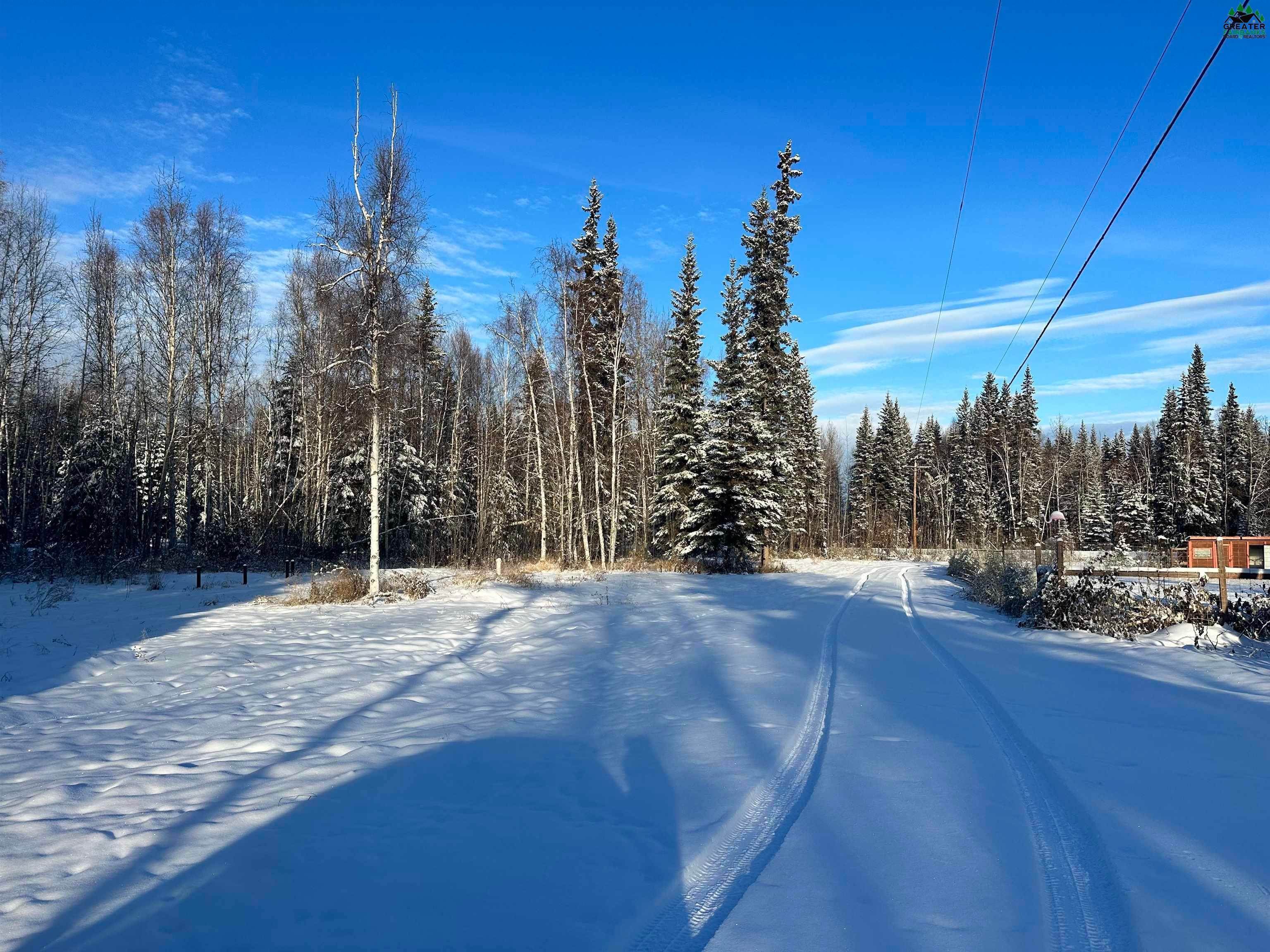3. Residential for Sale at 2981 PLACK ROAD North Pole, Alaska 99705 United States