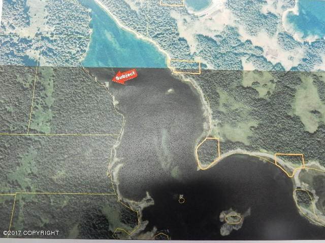 土地,用地 为 销售 在 USS 11175 Lot 2 Raspberry Strait Port Lions, 阿拉斯加州 99615 美国