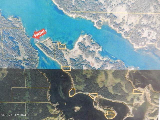 土地,用地 为 销售 在 USS 11175 Lot 3 Raspberry Strait Port Lions, 阿拉斯加州 99615 美国