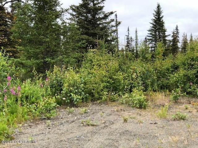 4. Land for Sale at Anchor Point, Alaska United States