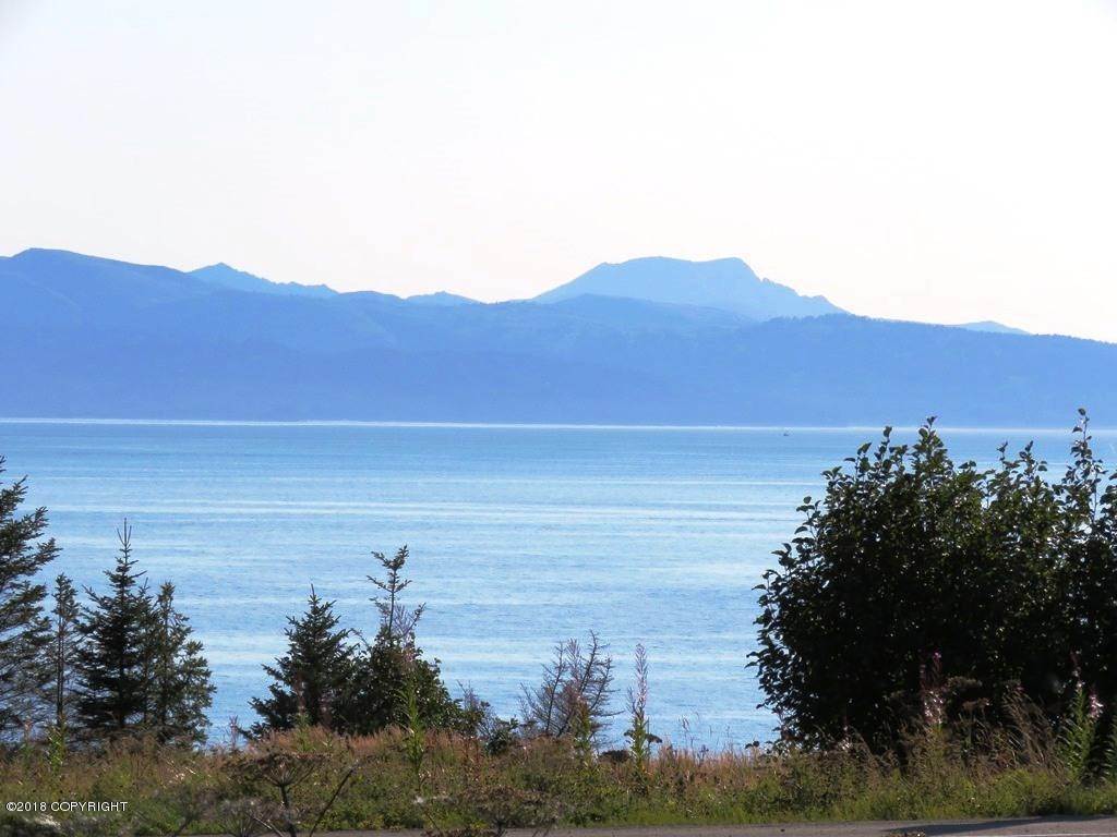 Land for Sale at 955 Sterling Highway Homer, Alaska 99603 United States