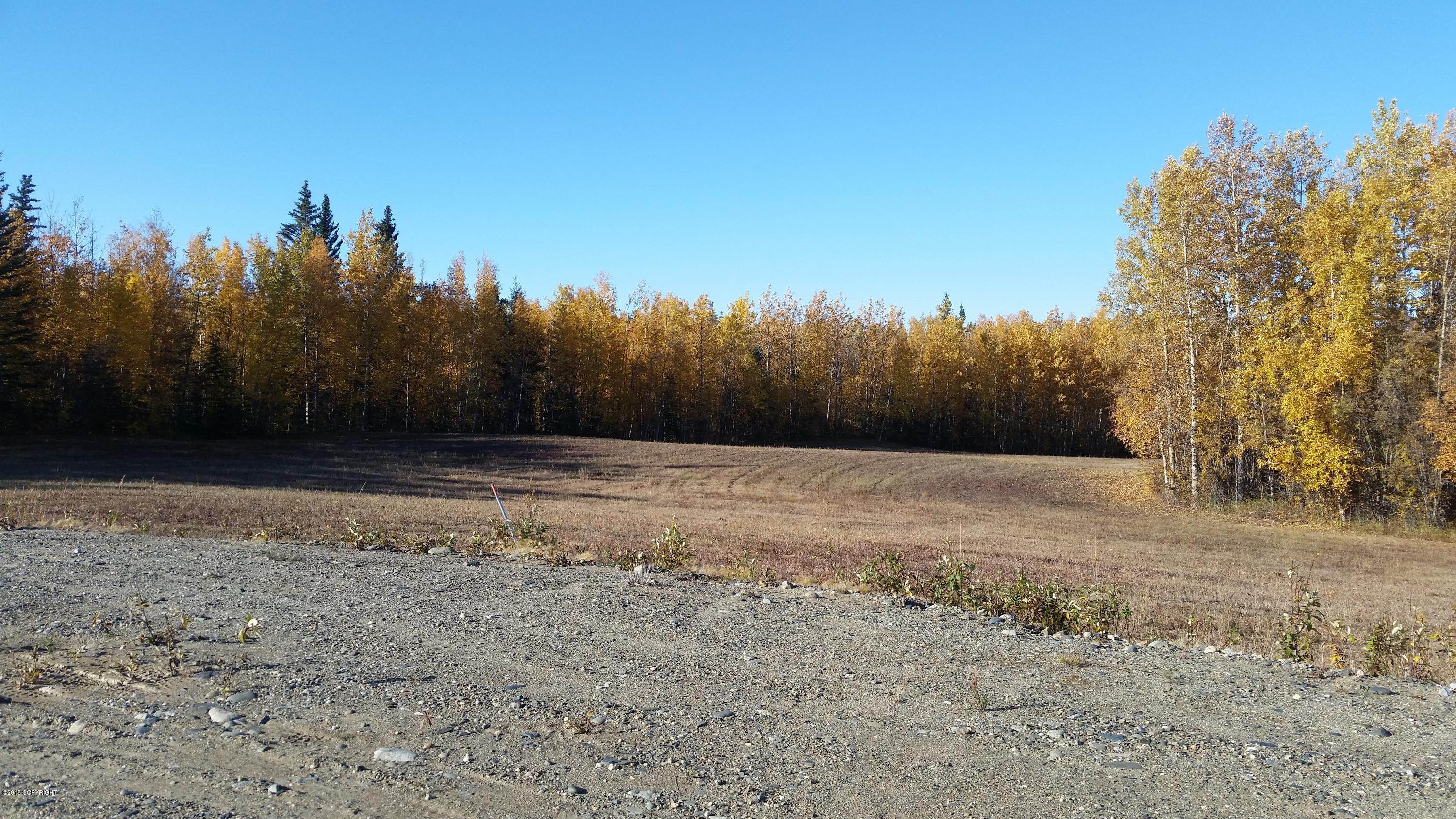 2. Land for Sale at Delta Junction, Alaska United States