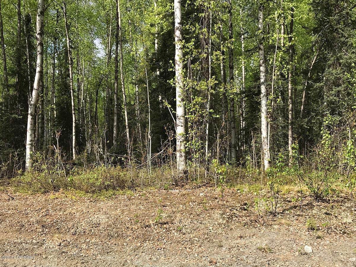 10. Land for Sale at Willow, Alaska United States