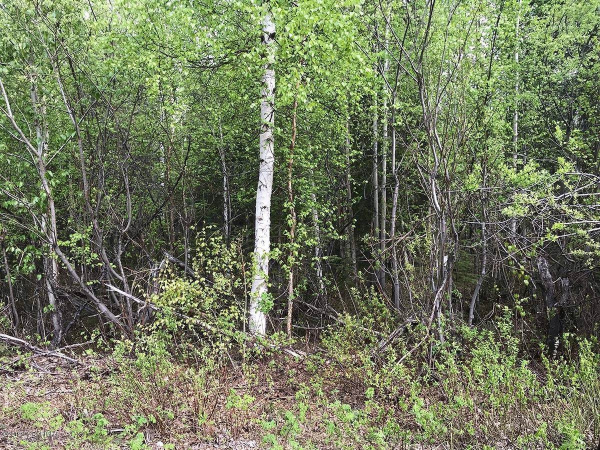 9. Land for Sale at Willow, Alaska United States