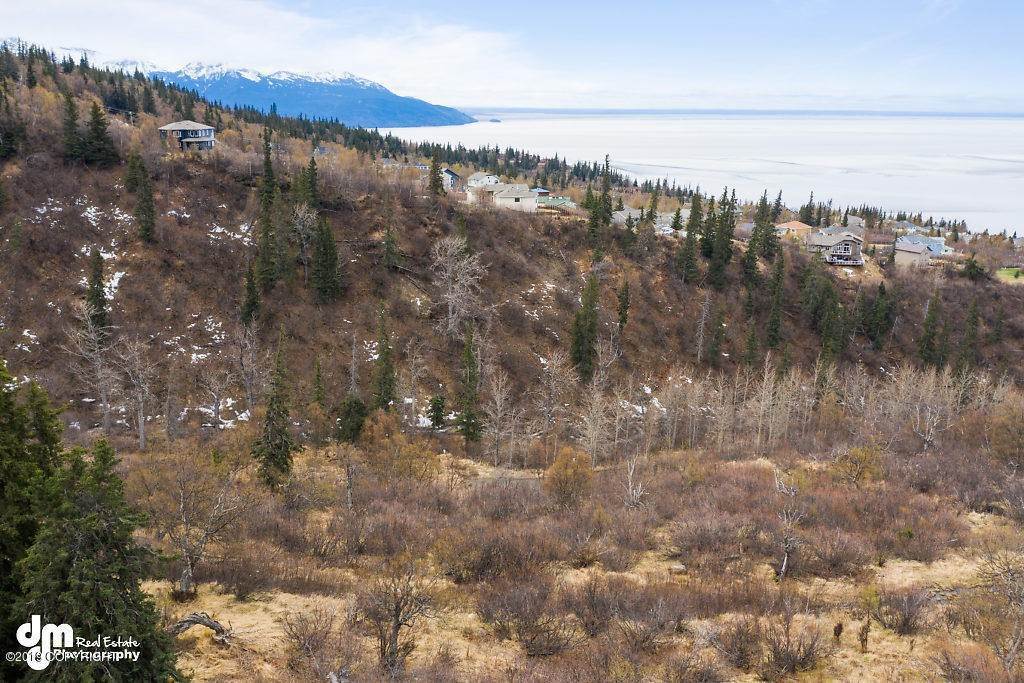 2. Land for Sale at Anchorage, Alaska United States