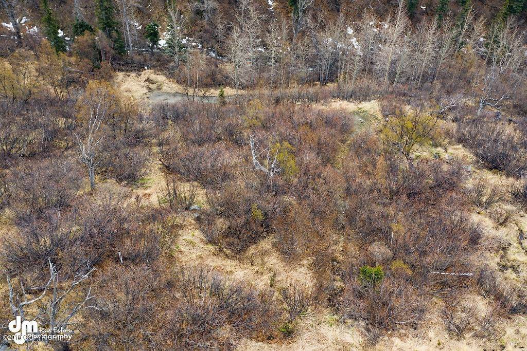 17. Land for Sale at Anchorage, Alaska United States
