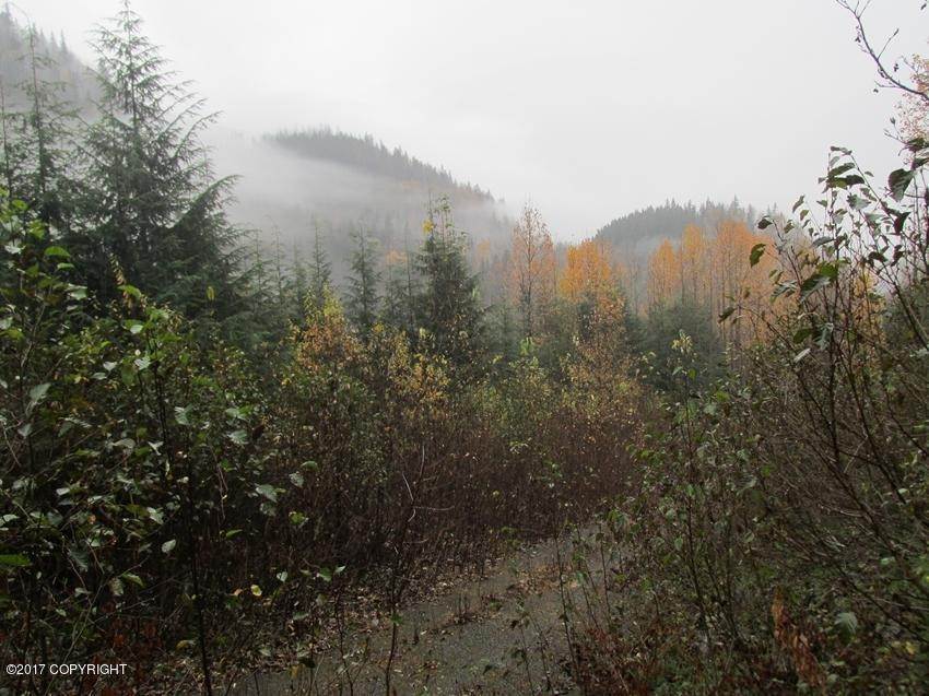 8. Land for Sale at L12 White Beaver Way Haines, Alaska 99827 United States
