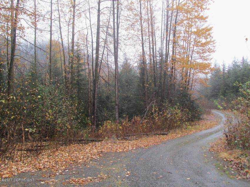 12. Land for Sale at L12 White Beaver Way Haines, Alaska 99827 United States