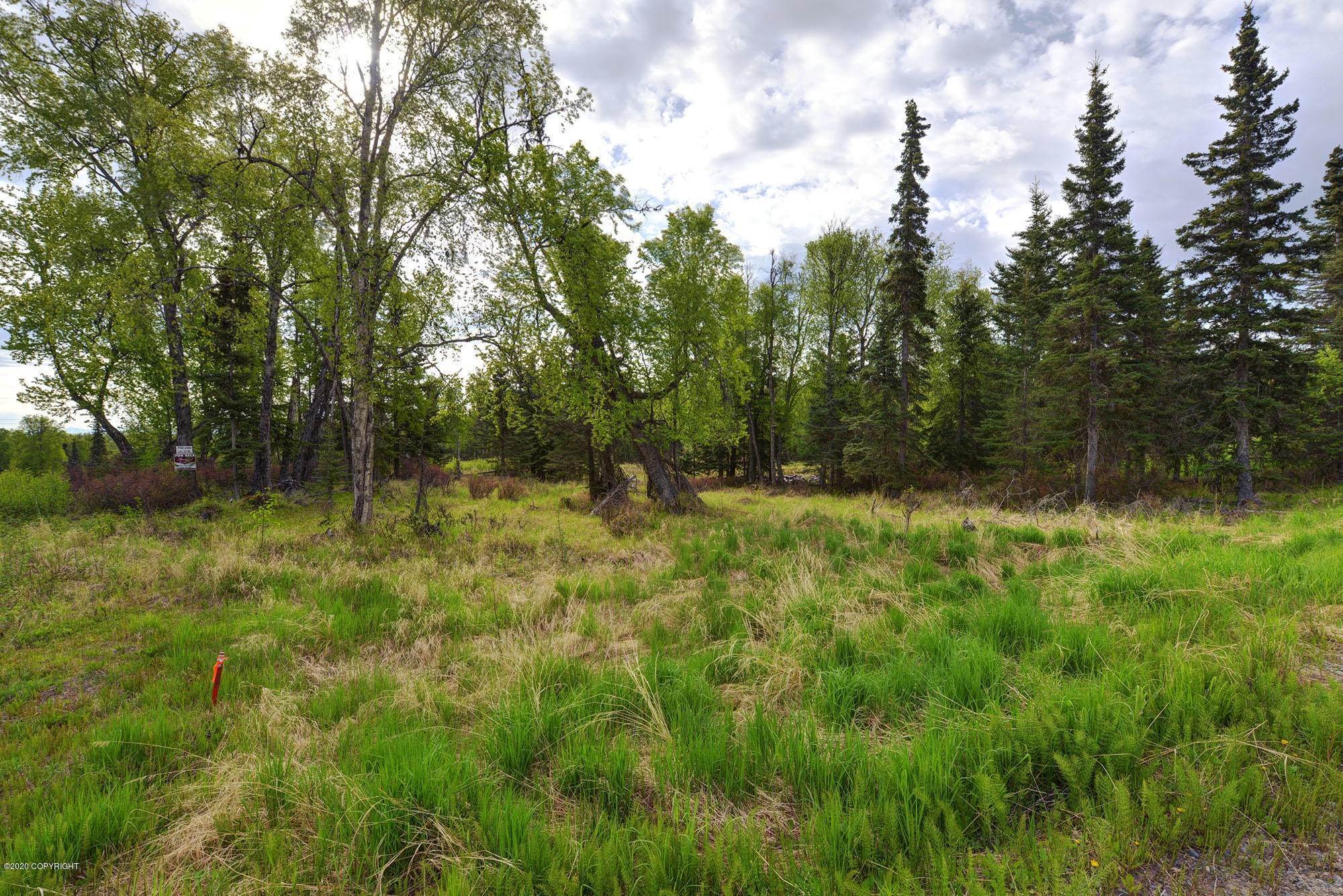 5. Land for Sale at Clam Gulch, Alaska United States