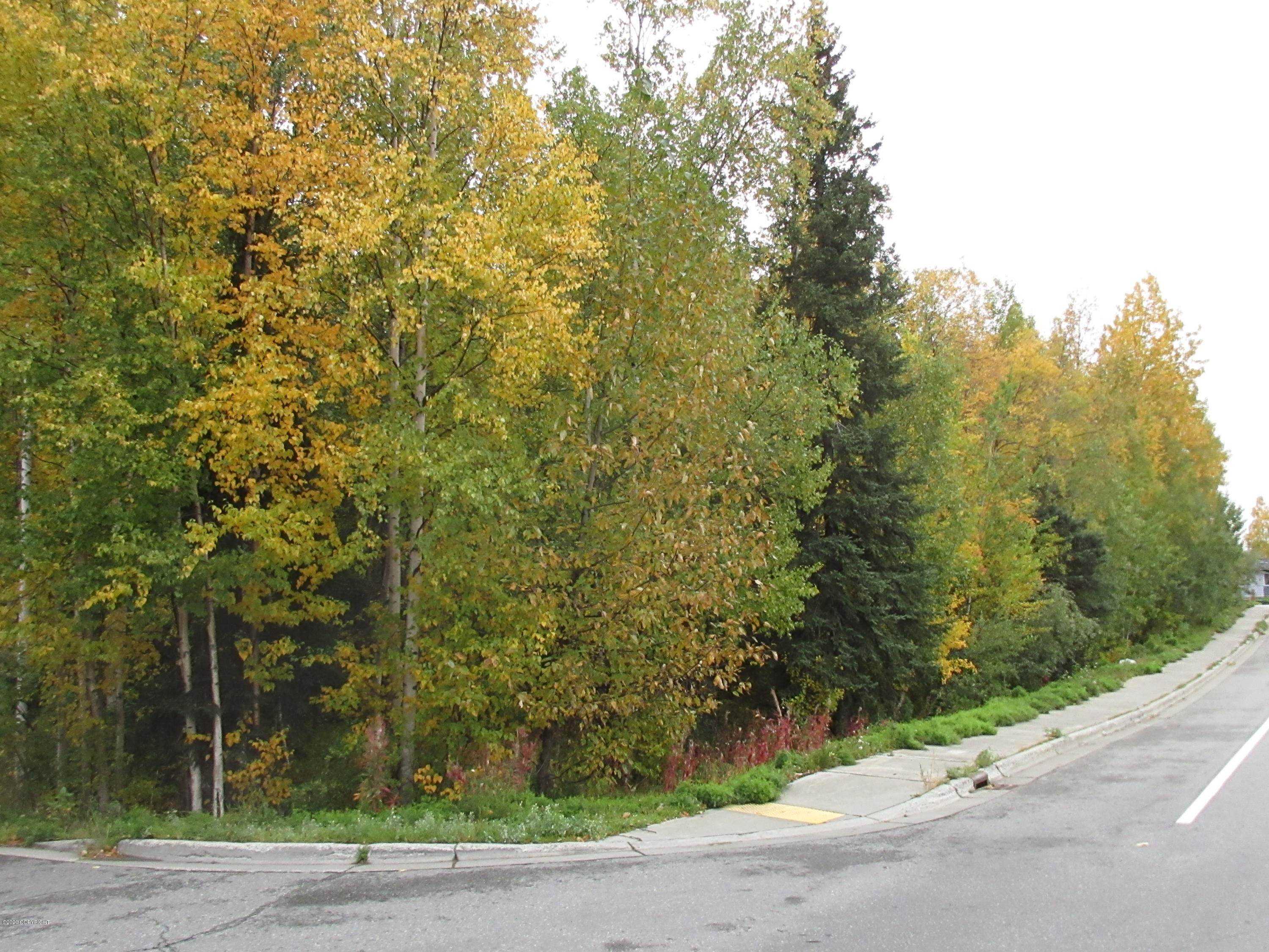 7. Land for Sale at L1-L12 E 12th Court Anchorage, Alaska 99504 United States