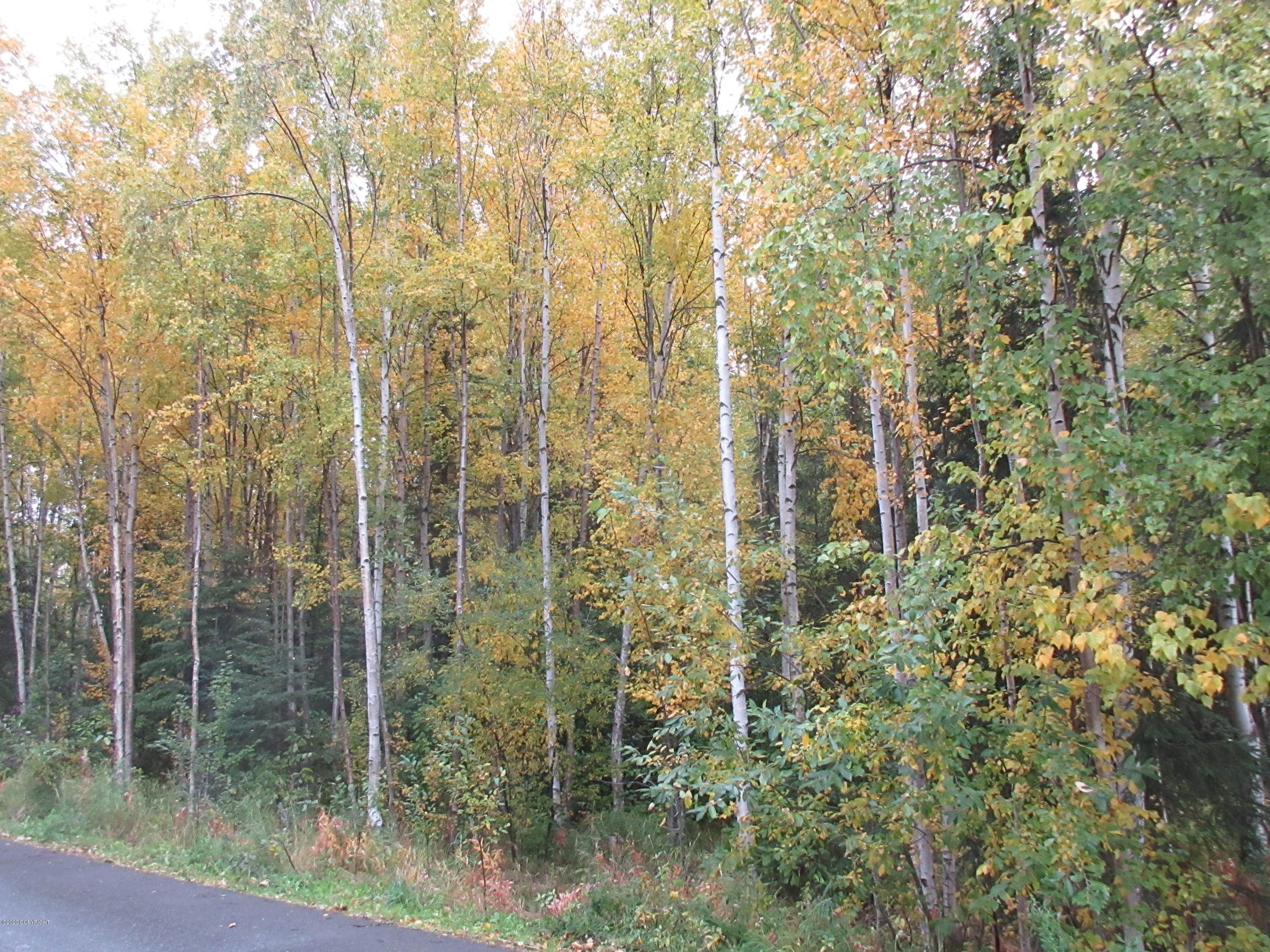8. Land for Sale at L1-L12 E 12th Court Anchorage, Alaska 99504 United States