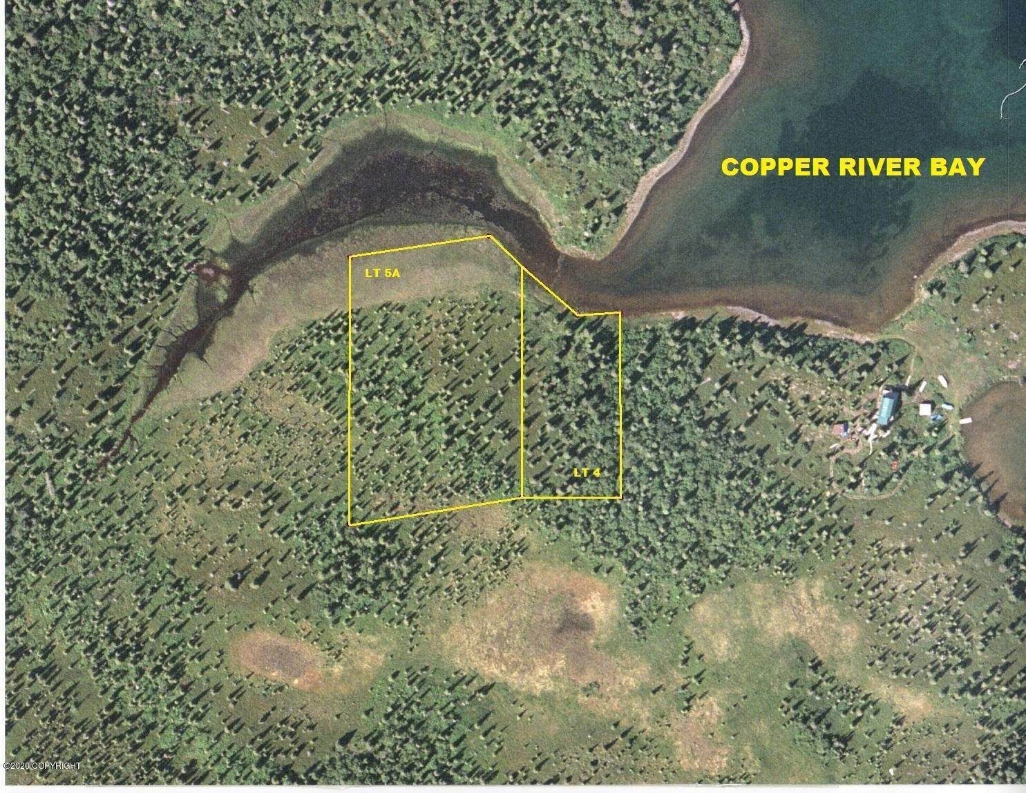 土地,用地 为 销售 在 Lt 4 Copper River Bay (No Road) King Salmon, 阿拉斯加州 99613 美国
