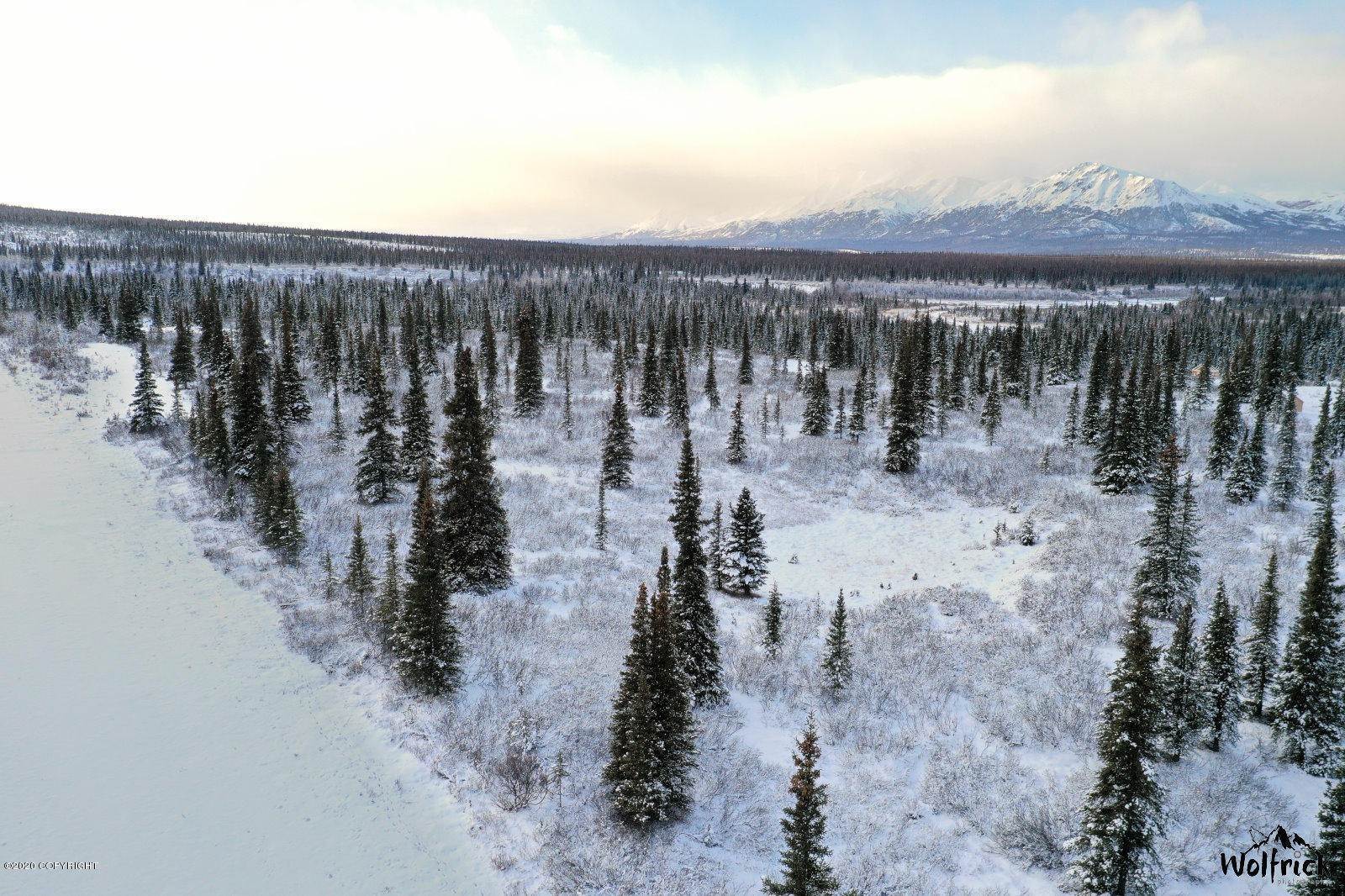 Land for Sale at B1-L4 Denali Jack River Canyon Cantwell, Alaska 99729 United States
