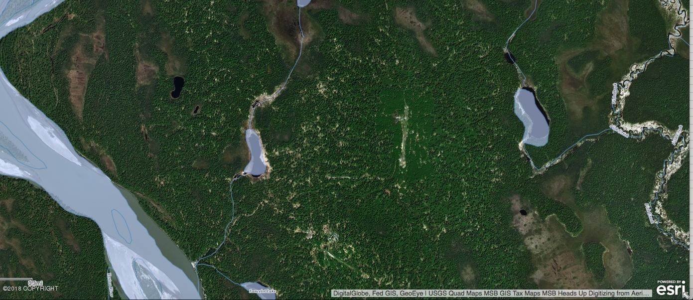 4. Land for Sale at L2 No Road Other Areas, Alaska 99000 United States