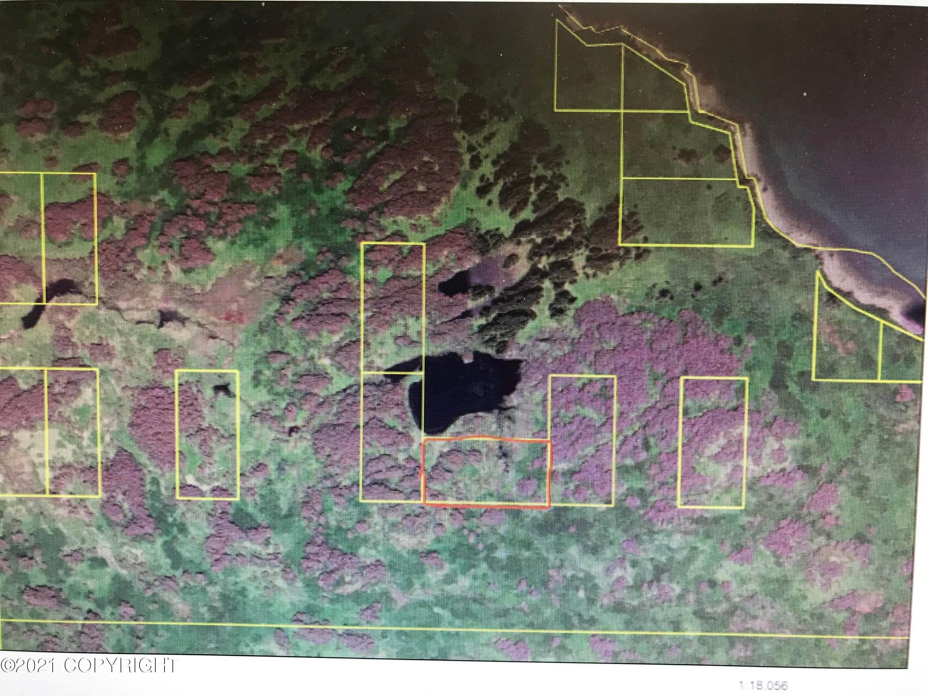 土地,用地 为 销售 在 90-170 ASLS Kupreanof Peninsula Port Lions, 阿拉斯加州 99550 美国