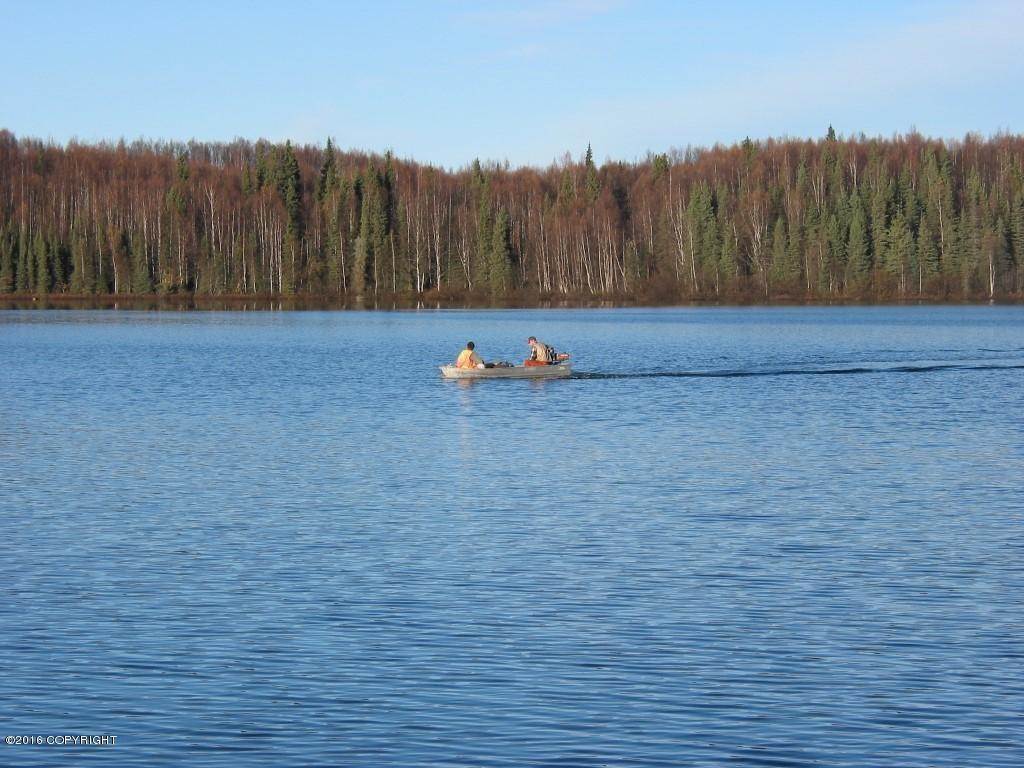 2. Land for Sale at L12 B4 Tuxedo Willow, Alaska 99688 United States