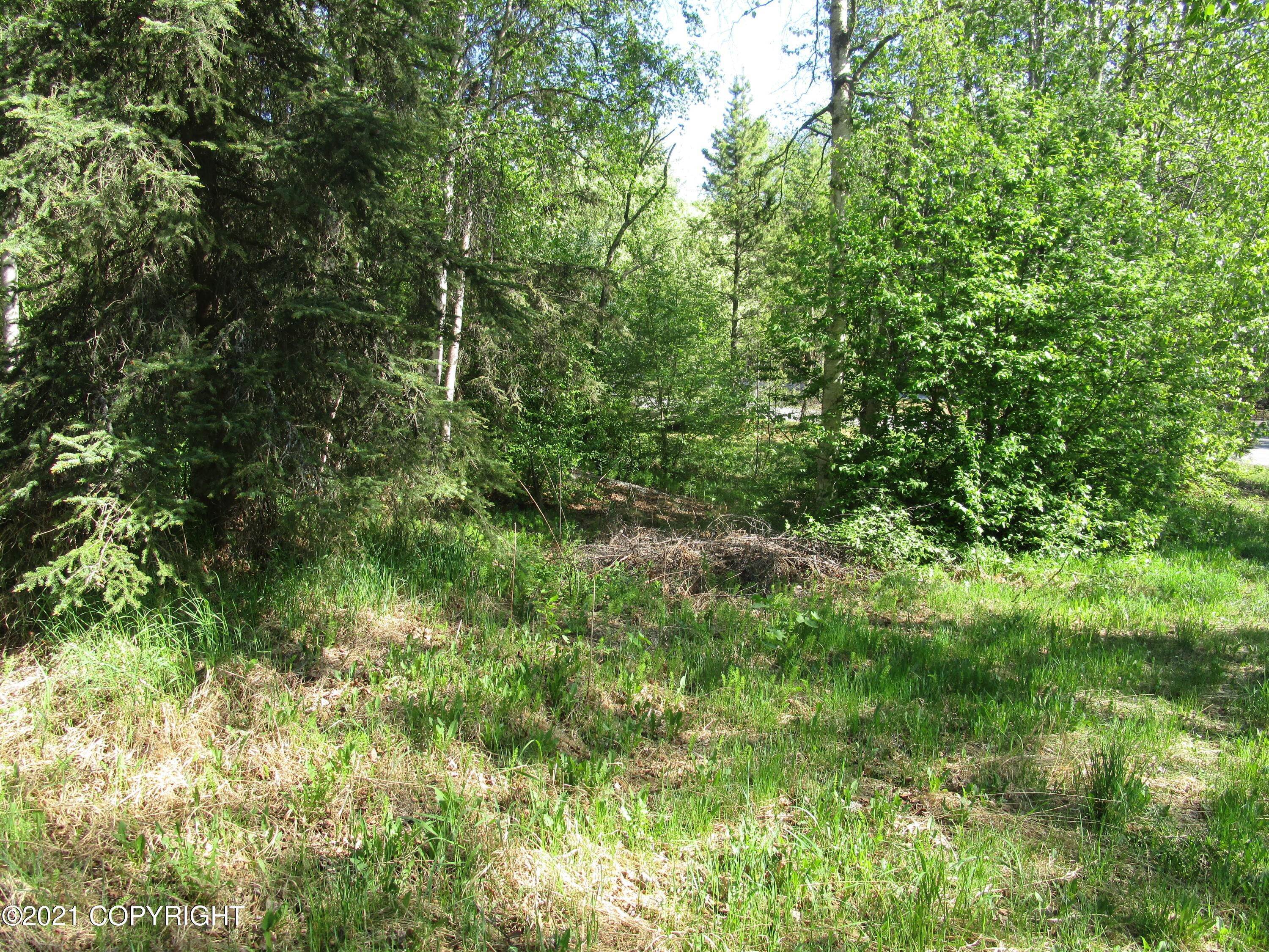 4. Land for Sale at 16902 Meadow Creek Drive Eagle River, Alaska 99577 United States