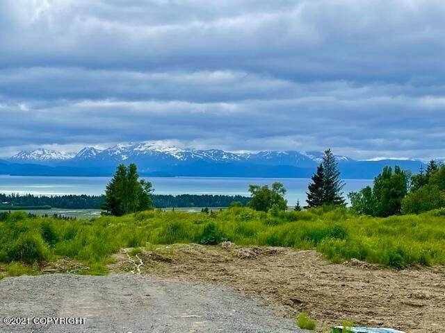 1. Land for Sale at Homer, Alaska United States