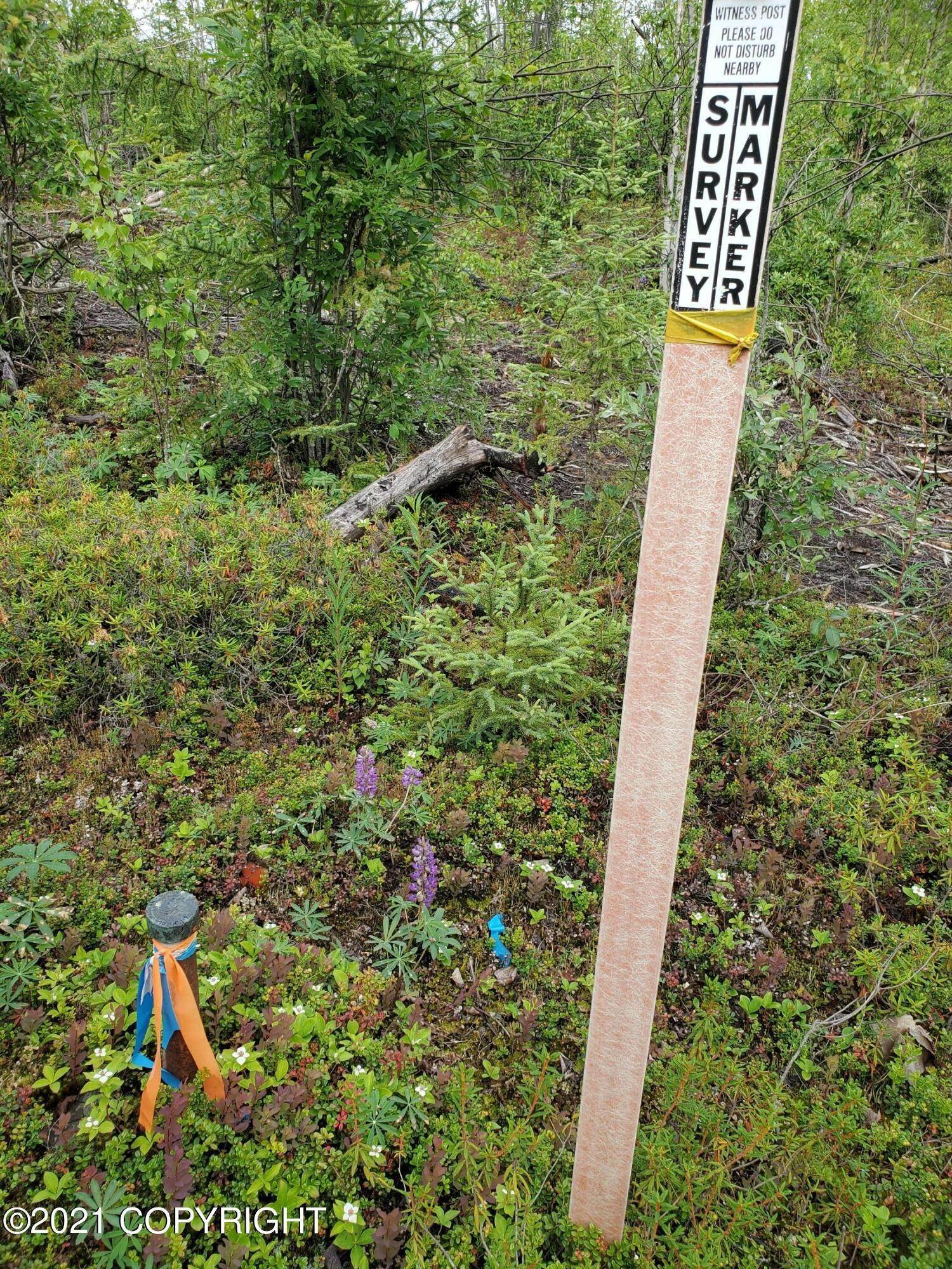 11. Land for Sale at Other Areas, Alaska United States