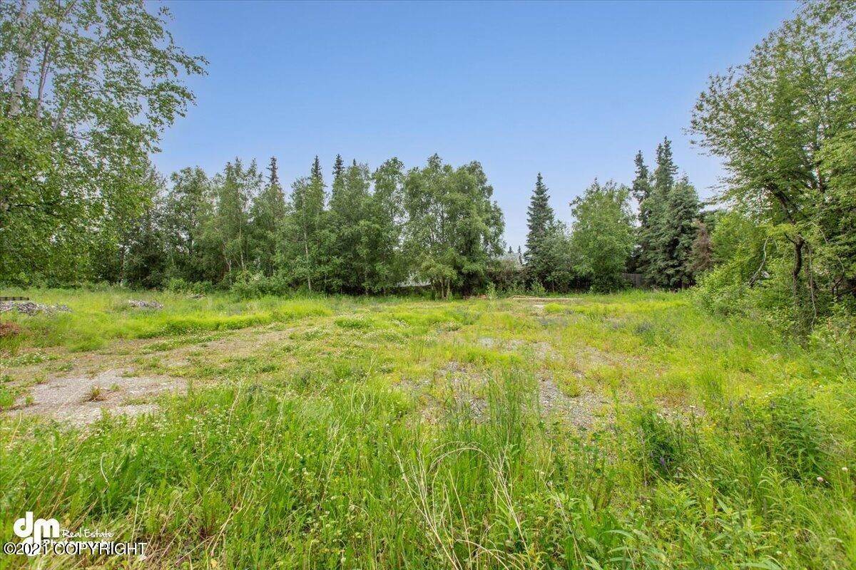 23. Land for Sale at Anchorage, Alaska United States