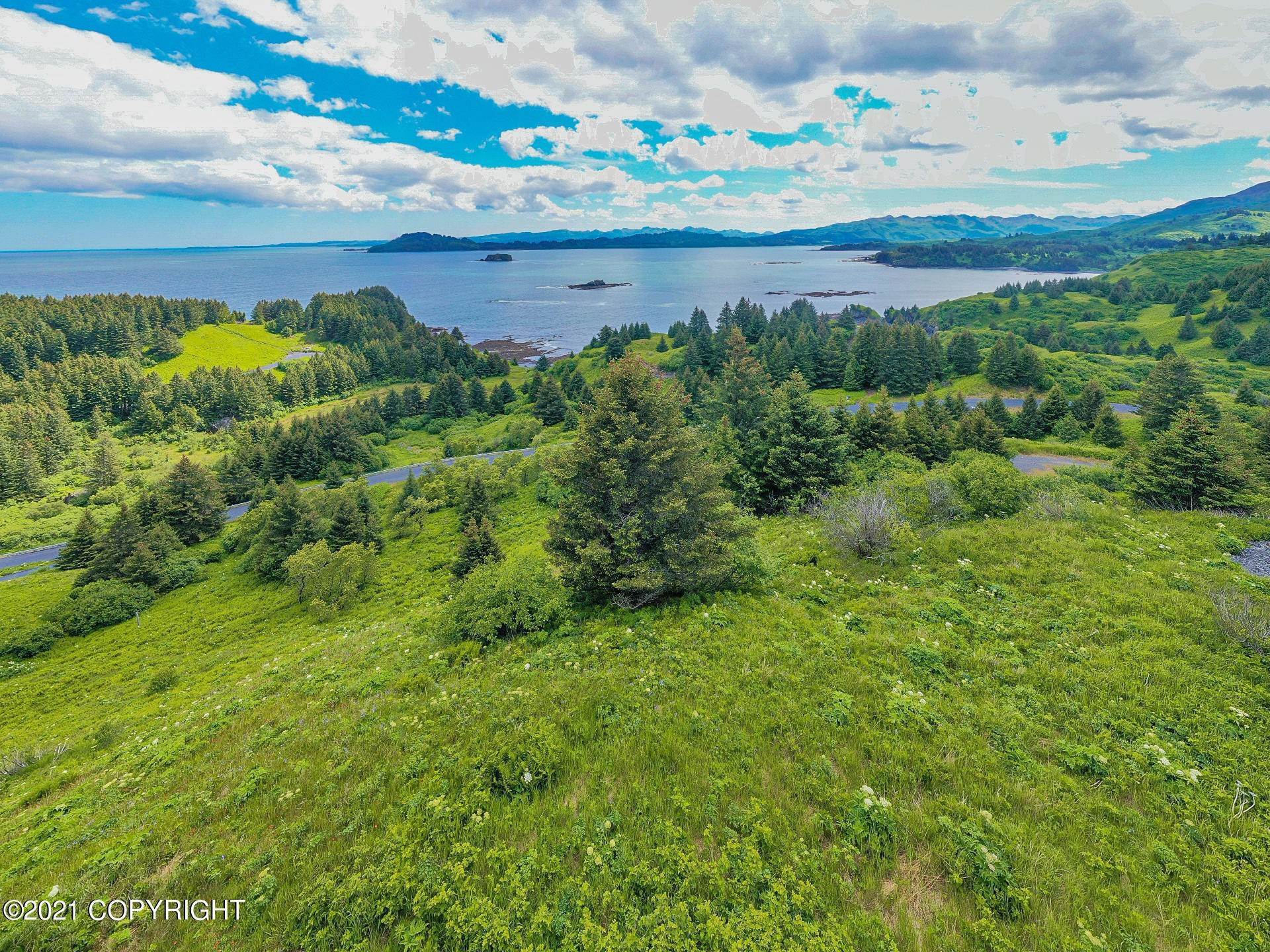 4. Land for Sale at 5965 Cliff Point Road Kodiak, Alaska 99615 United States