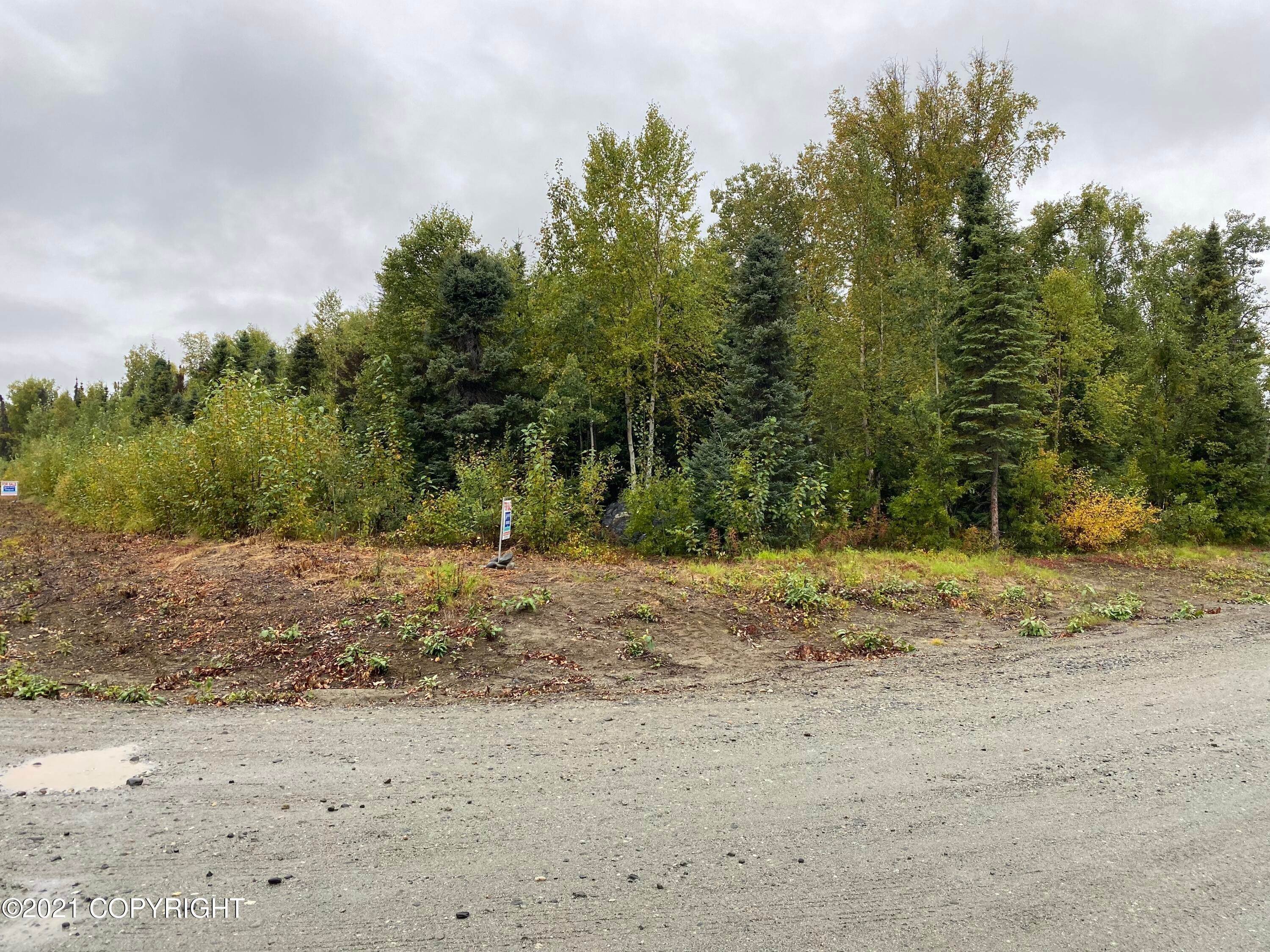 1. Land for Sale at Willow, Alaska United States