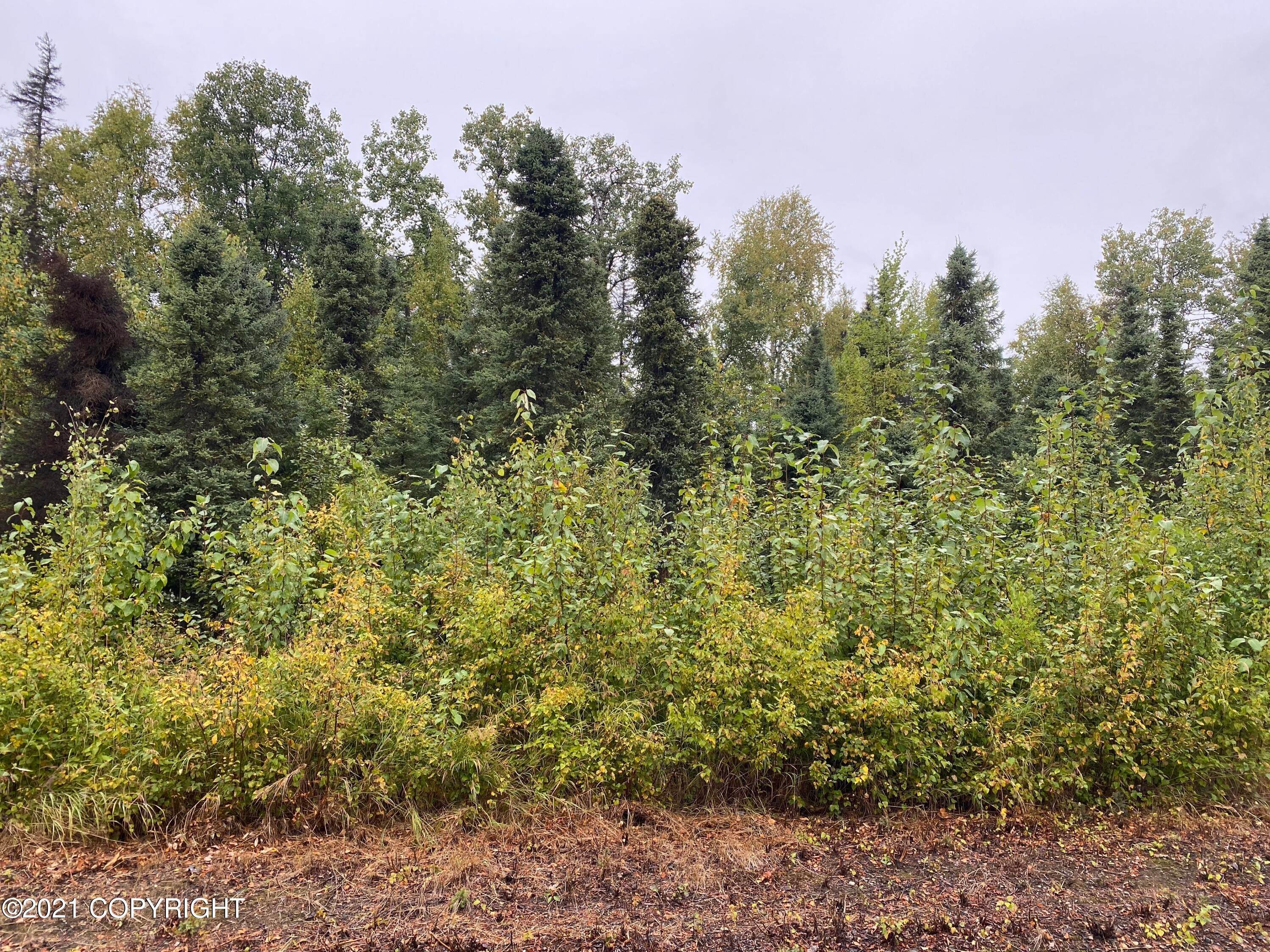 7. Land for Sale at Willow, Alaska United States