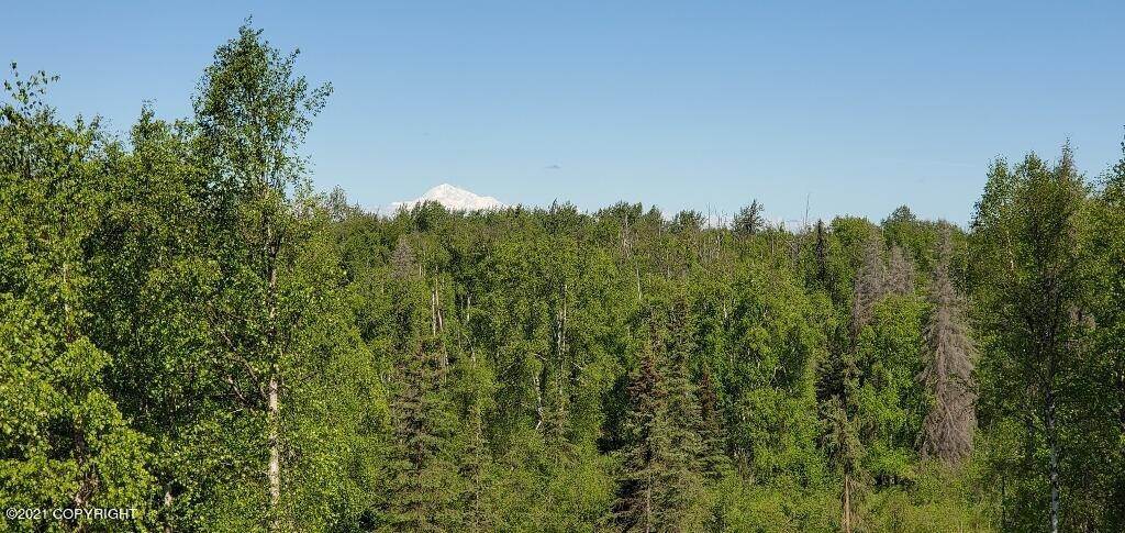 2. Land for Sale at Willow, Alaska United States