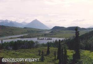 1. Land for Sale at L1 Christopher's Place Chickaloon, Alaska 99674 United States
