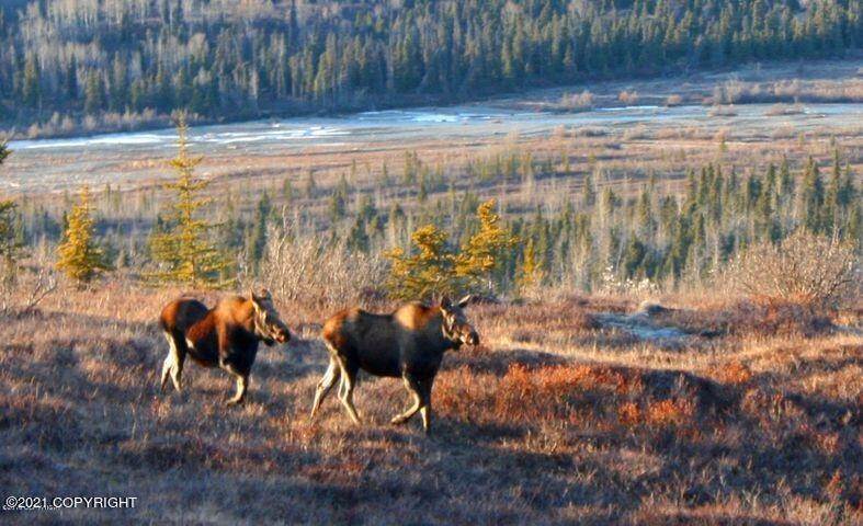 4. Land for Sale at L1 Christopher's Place Chickaloon, Alaska 99674 United States