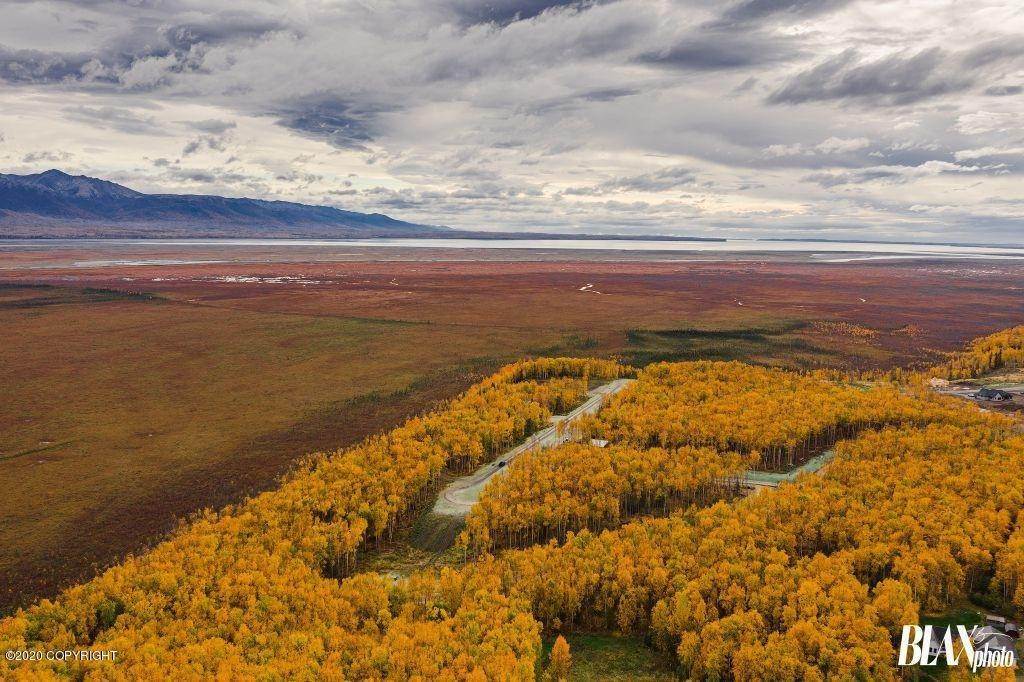 41. Land for Sale at Wasilla, Alaska United States