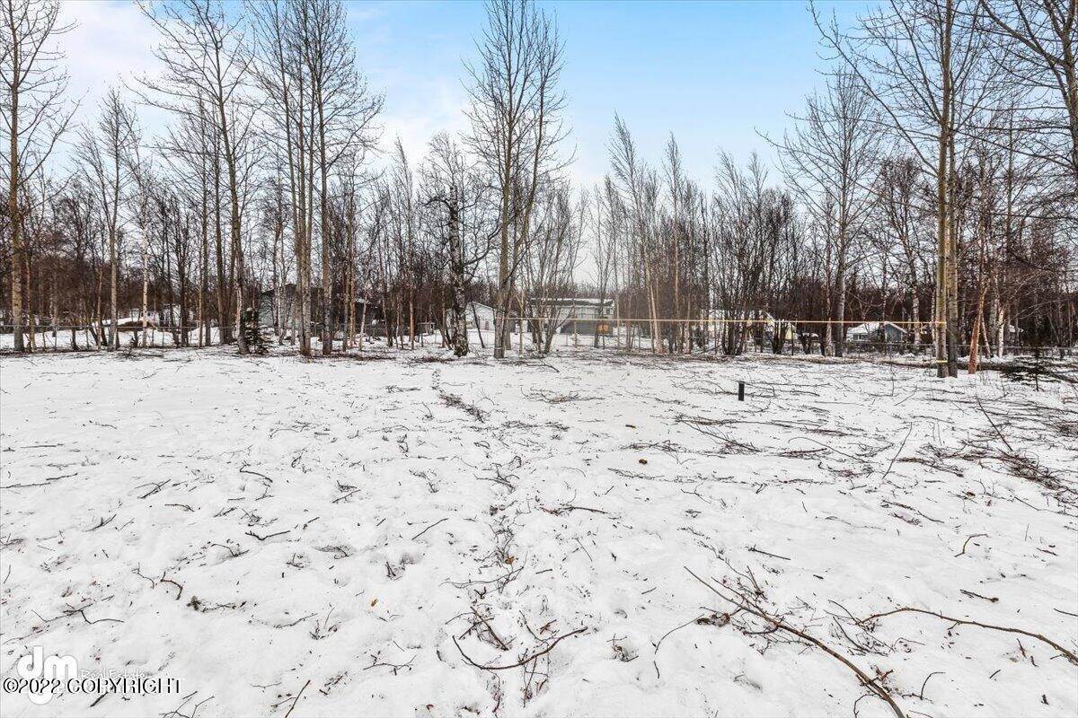 30. Residential for Sale at Wasilla, Alaska United States
