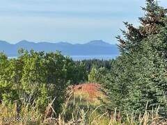 2. Land for Sale at Homer, Alaska United States