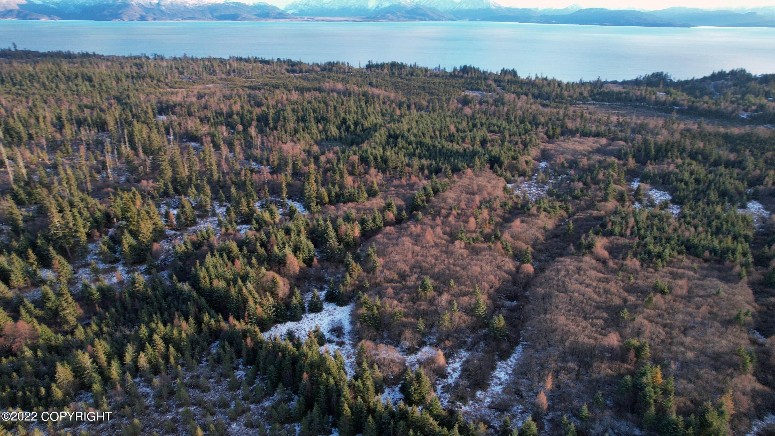 7. Land for Sale at Homer, Alaska United States