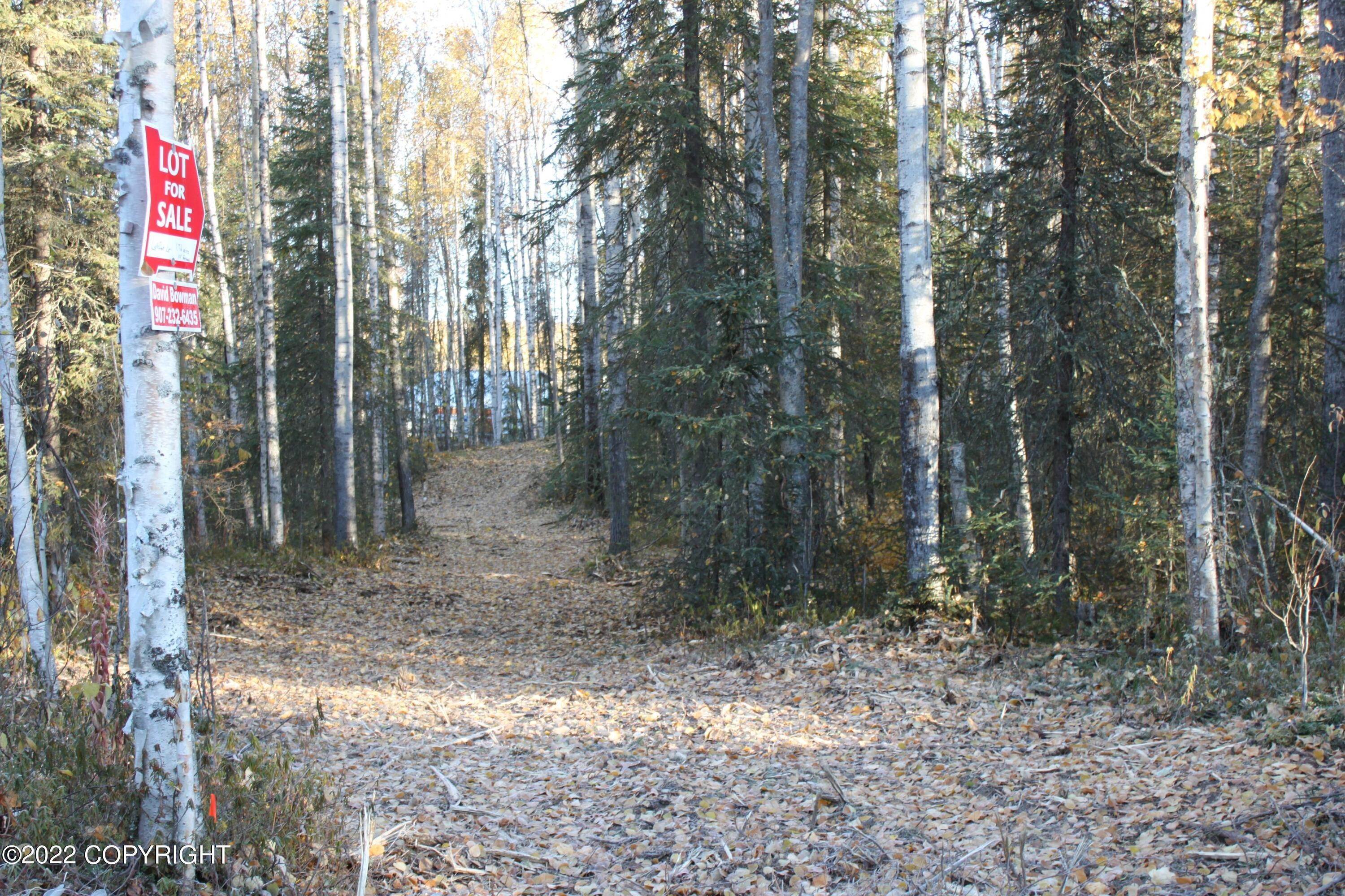 10. Land for Sale at 8721 W Skyview Drive Wasilla, Alaska 99654 United States