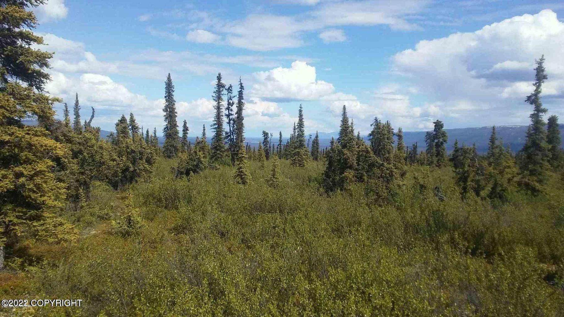 Land for Sale at Tr 14 Timerwolf Road Sutton, Alaska 99674 United States