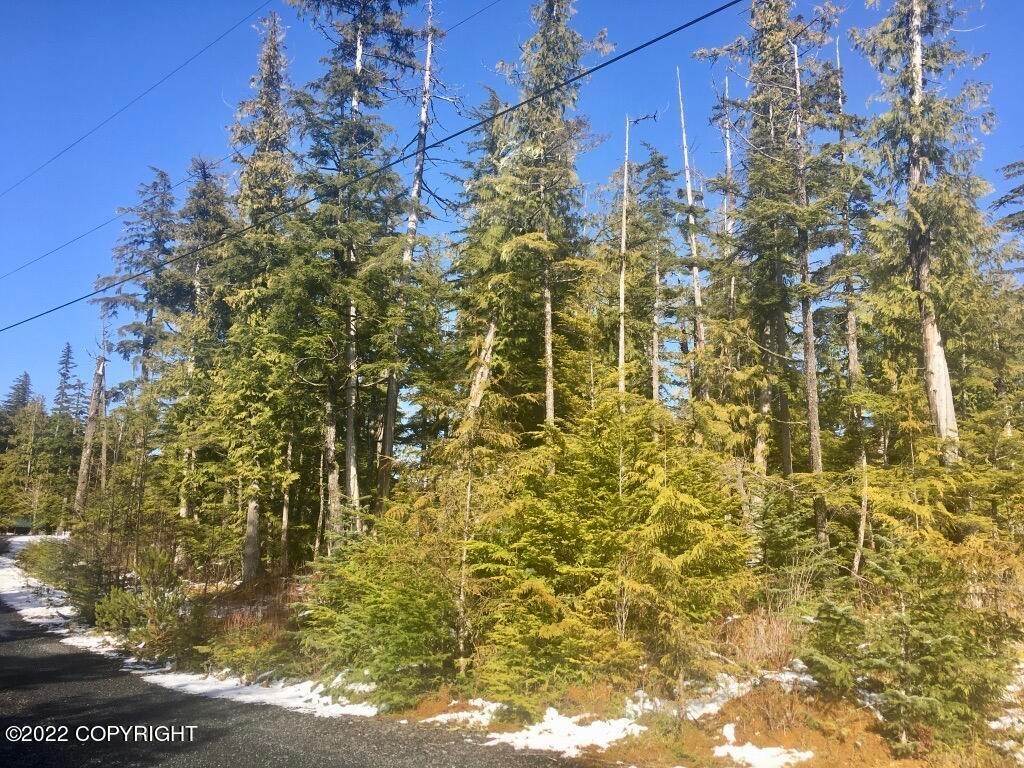 Land for Sale at L9A Red Snapper Coffman Cove, Alaska 99918 United States