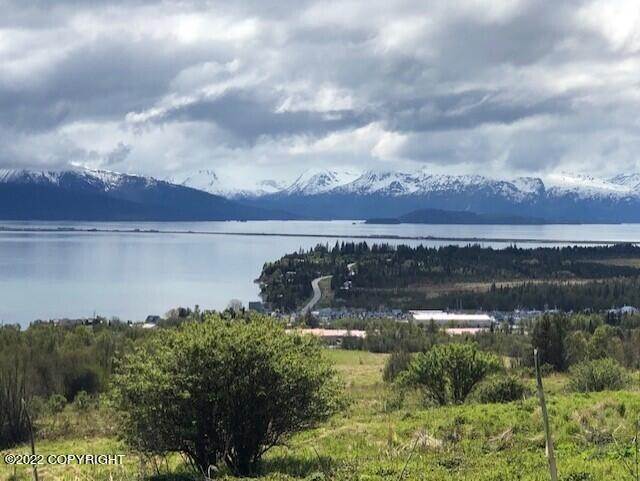 Commercial for Sale at 41622 Wandering Street Homer, Alaska 99603 United States