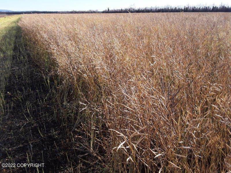 25. Business Opportunity for Sale at NHN Rapeseed Way Delta Junction, Alaska 99737 United States