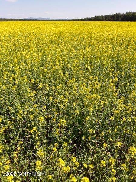 24. Business Opportunity for Sale at NHN Rapeseed Way Delta Junction, Alaska 99737 United States