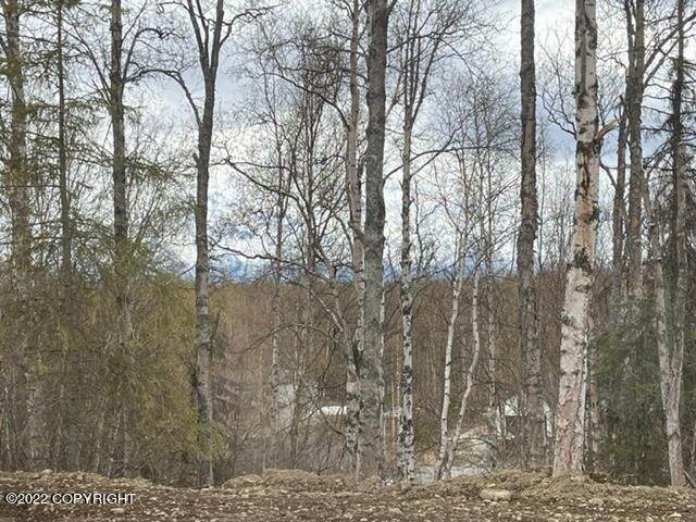 10. Single Family Homes for Sale at 8409 E Windy Woods Loop Wasilla, Alaska 99654 United States