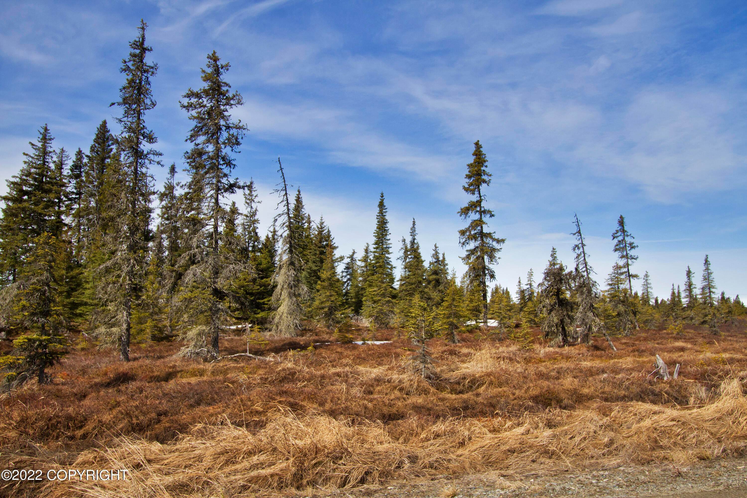 24. Land for Sale at 72060 Browning Avenue Anchor Point, Alaska 99556 United States