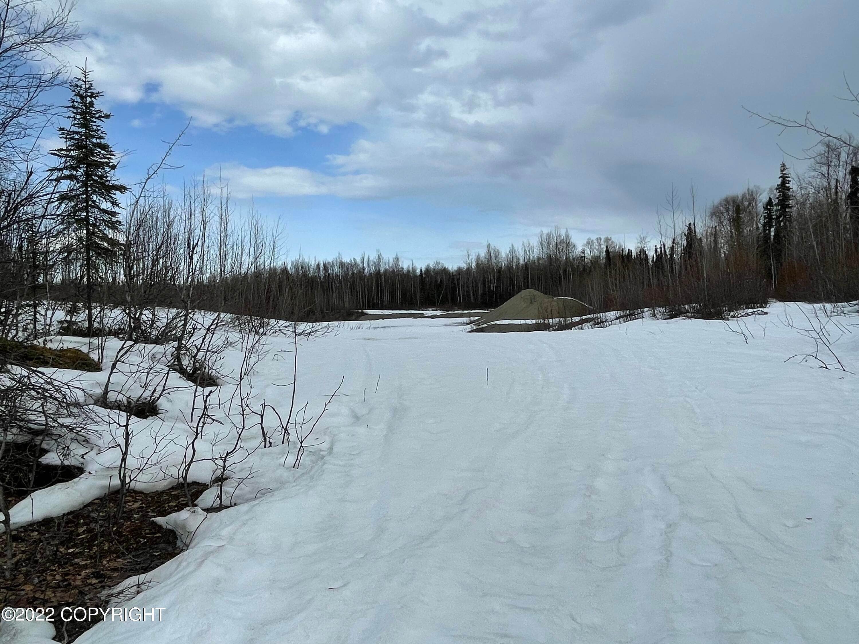 3. Land for Sale at 29393 W Parks Highway Willow, Alaska 99688 United States